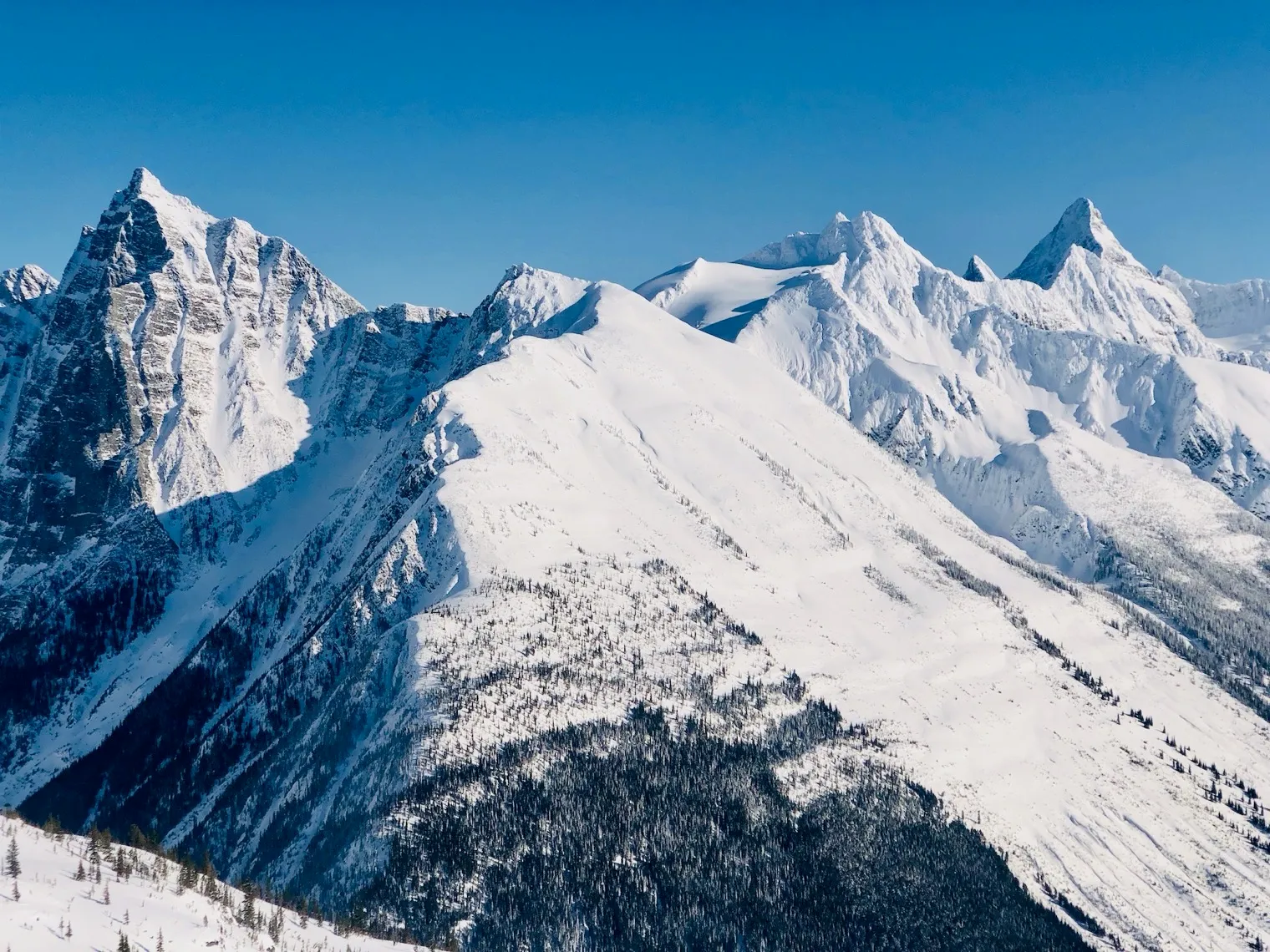 Веригата Selkirks, Columbia Mountains, British Columbia